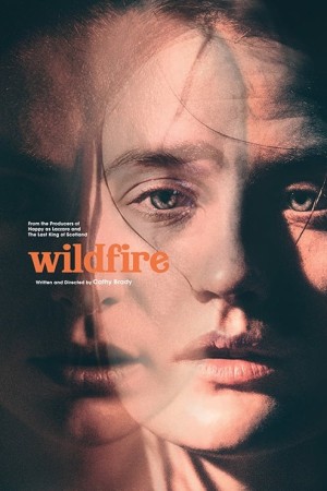 Capa do filme Wildfire para assistir online em HD