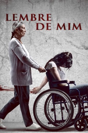 Capa do filme Lembre de Mim para assistir online em HD