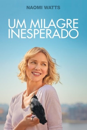 Capa do filme Um Milagre Inesperado para assistir online em HD